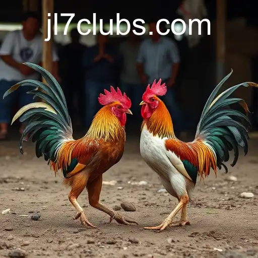 Exploring the Excitement of Sabong Games with JL7.COM